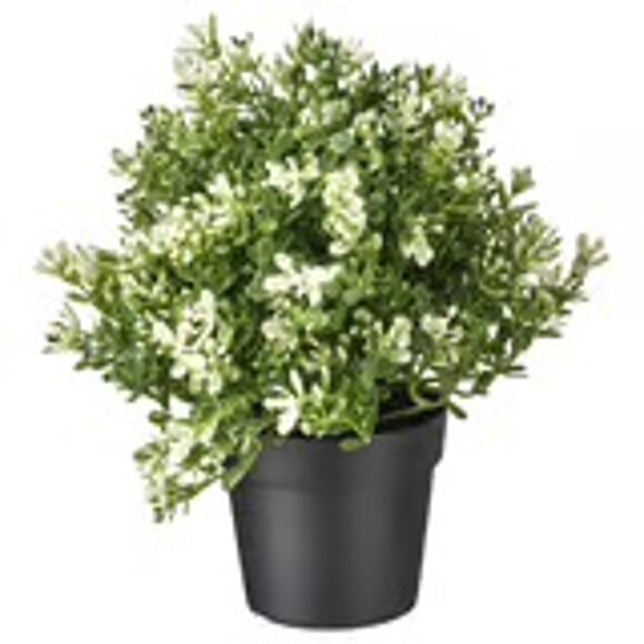 IKEA FEJKA Artificial Thyme Plant for Effortless Greenery - Picture 1 of 2